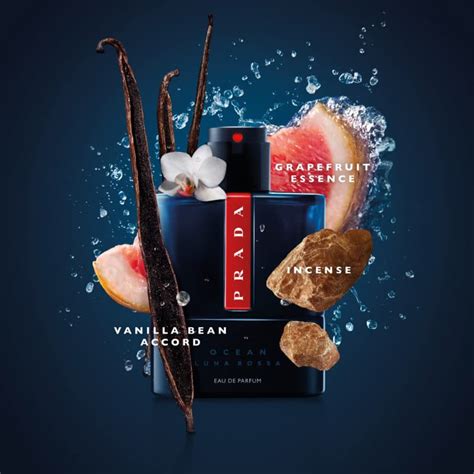 luna rossa black vs ocean